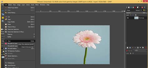 Image result for GIMP Tutorials Eraser