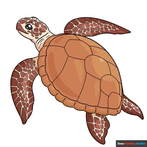 Image result for Turtle Drawing Tutorial