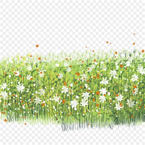 Piece Of Grass White Transparent, Have A Piece Of Flowers And Grass, A ...