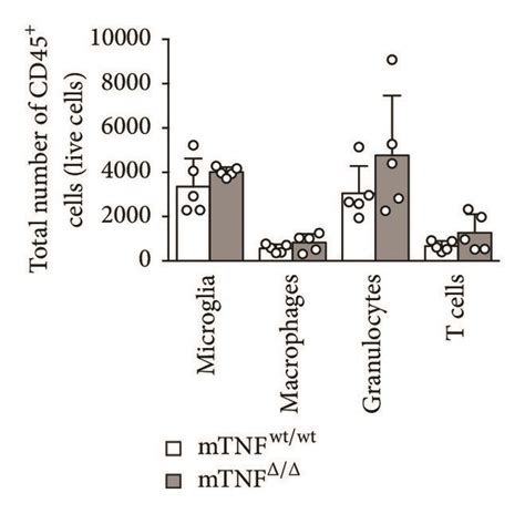 Image result for Flow Cytometry of Microglia Videotutorial