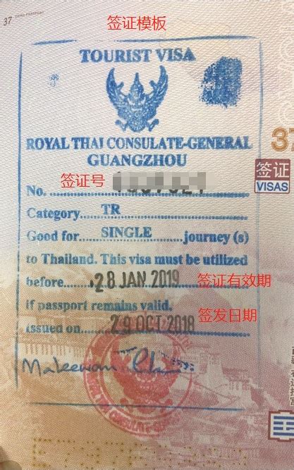 美国代办泰国签证，中国护照美国绿卡（快速） | 中国领事代理服务中心