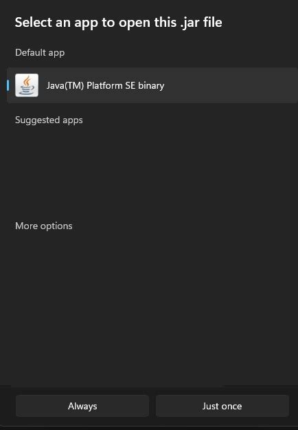 Image result for Java TM Platform SE Binary Windows 1.0 Download