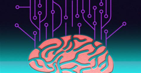 Brain Map Example 的图像结果