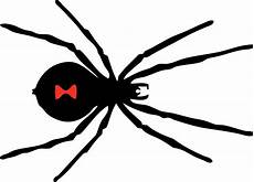 Free Spider Clipart by Free Spiders Cliparts Free Clip Free Clip Free Spider Clipart
