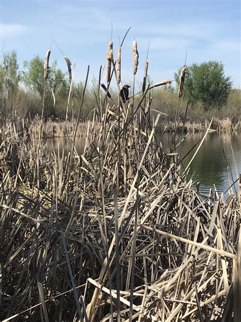 Hyatt Hidden Lakes Reserve Loop - Idaho | AllTrails