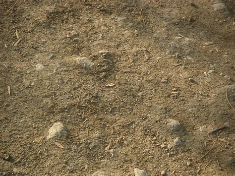 Ground Loop Currents 的图像结果