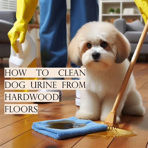 How to Clean Dog Urine From Hardwood Floors