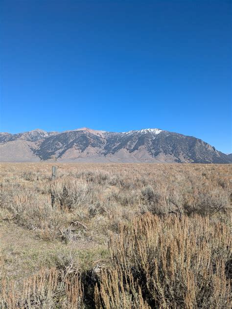 Where Working Lands Keep Wildlife Moving: Protected Migration Corridors ...