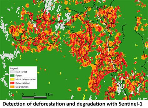 Wide-Area Near-Real-Time Monitoring of Tropical Forest Degradation and ...