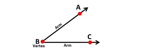 [New 2025-26] Chapter 2 - Lines and Angles NCERT Solutions | Worksheet ...
