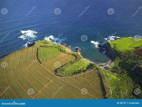 Agriculture In Hawaii