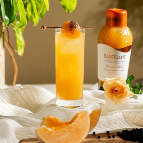 Buy Cocktail Mixers India | Low-Calorie Cocktail Mixer - Bartisans