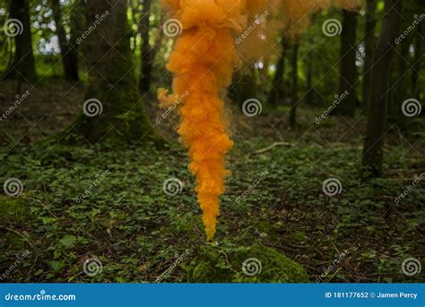 Orange Smoke Grenade Going Off in Forest Stock Photo - Image of ...