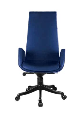 Blue High Back Revolving Chair - Rastogi Furniture