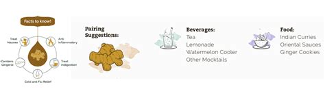 Spice Drop Ginger (Adarak) Extract | Natural Spice For Food and ...