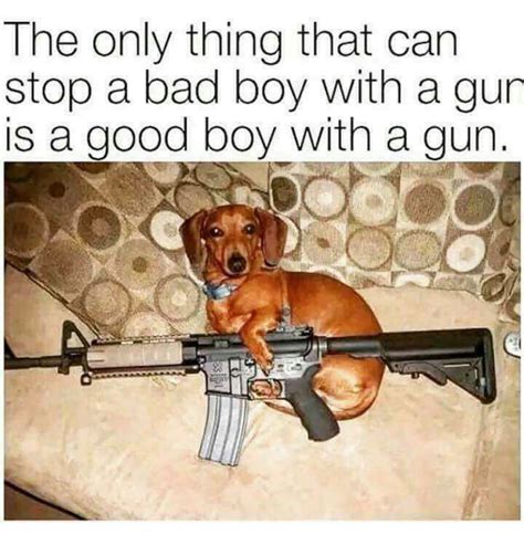 "Official" Thread - Funny GUN memes - post'em! | Page 19 | Patriot Gun ...