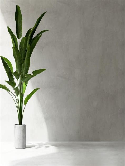 Get Inspired by Trending Home Blogs