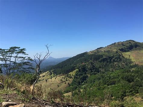 PINECREST HOLIDAY RESORT (Nillambe) - Resort Reviews & Photos - Tripadvisor