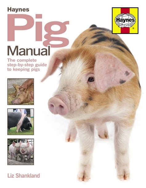 Buy Pig Manual: The Complete Step-by-Step Guide to Keeping Pigs Book ...