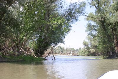 Ribolovacki Savez Vojvodine ::..revitalizacija