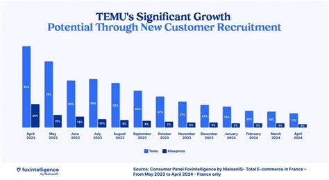 Temu’s First Year in France: Key e‑Commerce Trends