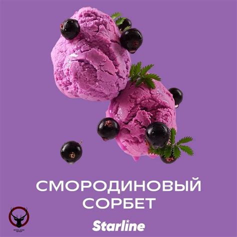Табак для кальяна Starline "Старлайн" (Смородиновый сорбет), 250 г ...