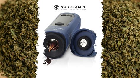 Choosing herbs for your vaporizer – tips and tricks