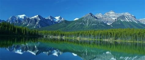 Canadian Rockies Van Tours - Canadian Co-ordinate Systems - One Day ...