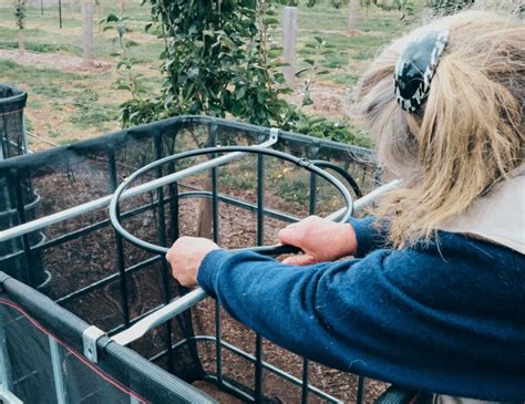 Image result for Johnson Su Bioreactor Composting System