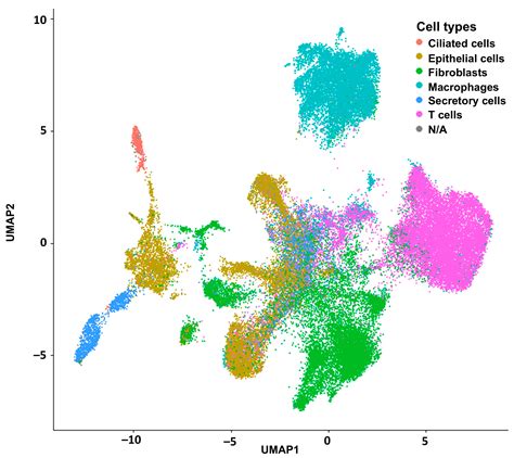 scRNA-seq Can Identify Different Cell Populations in Ovarian Cancer ...
