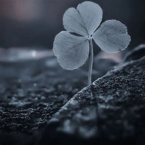 | Quotes & Writings by Aesthetic Thoughts | YourQuote