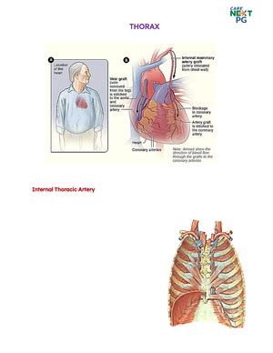 Dna and Rna - Summary medical genetics - Decoding the Molecules of Life ...