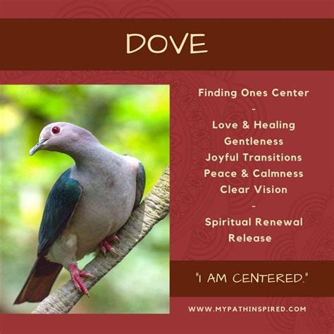 Dove Symbolism in 2025 | Spirit animal meaning, Spirit animal totem ...