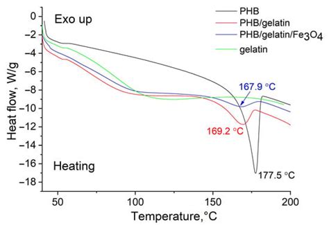 Core-Shell Magnetoactive PHB/Gelatin/Magnetite Composite Electrospun ...