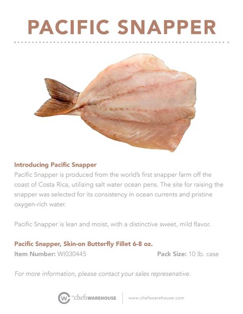 Image result for Pacific Snapper