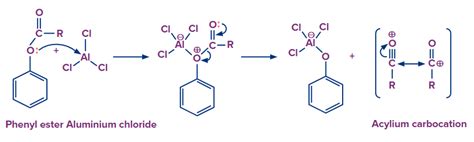Fries Rearrangement: Reaction, Mechanism, Applications and Limitations ...