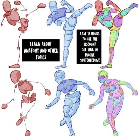 Image result for Drawing References for Beginers