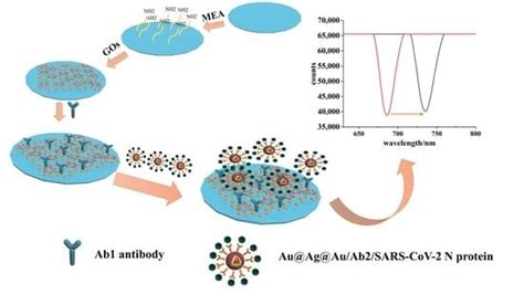 A Novel SPR Immunosensor Based on Dual Signal Amplification Strategy ...