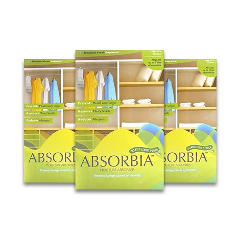 Buy Absorbia Moisture Absorber Mountain Fresh Hanging Pouch | Pack of 3 ...