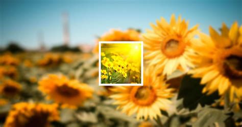 Obituary | Mary E. Bullis of Ashland, Wisconsin | Bratley Family ...