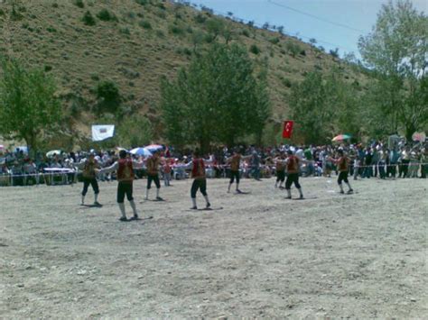 Ankara, Kazan İlçesi, Orhaniye Köyü - agaclar.net