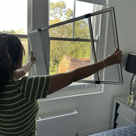 Window Fly Screen 的图像结果