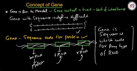 Transcription - Process, Unit, RNA Polymerase, Types of RNA