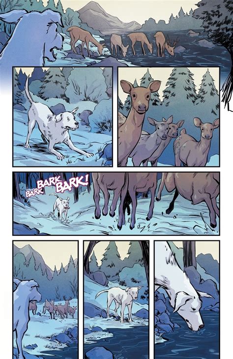 Krypto: The Last Dog of Krypton #3 Preview: Woof in the Woods