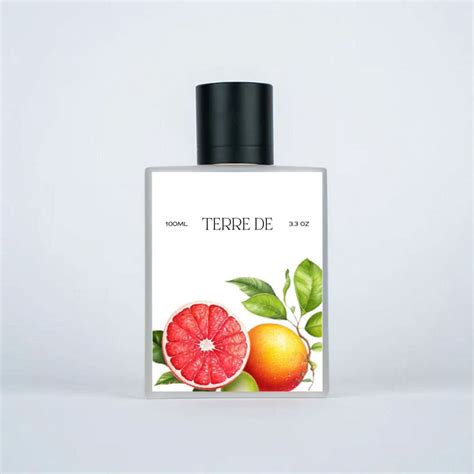 Women's Favorite Men's Fragrance – XLNC Perfumery™️