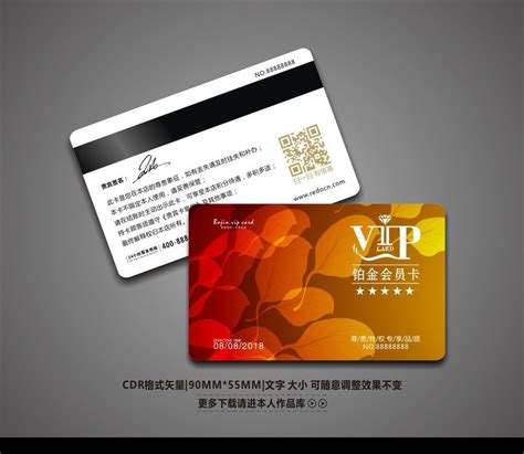 精致高端大气会所VIP会员卡图片下载_红动中国