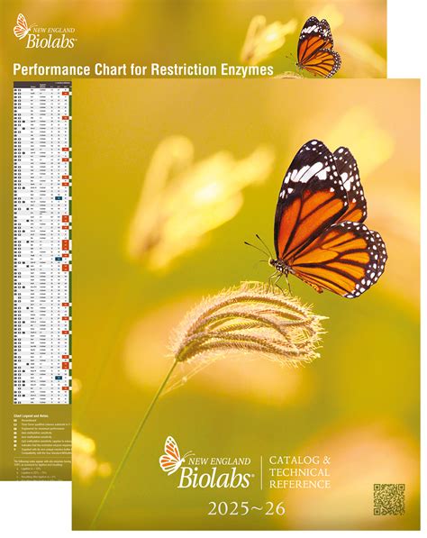 Stay up-to-date! - New England Biolabs GmbH