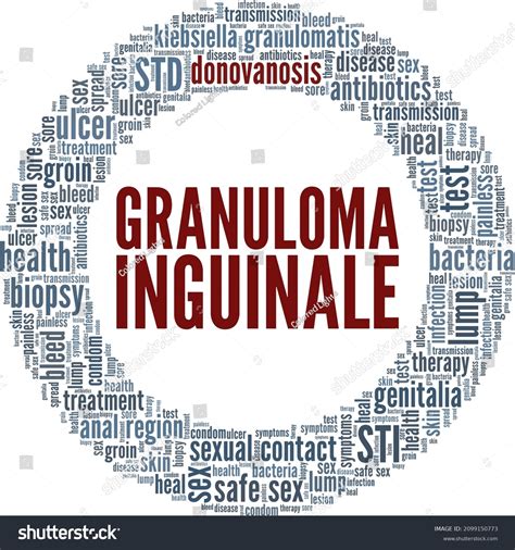Donovanosis Granuloma Inguinale Vector Illustration Word Stock Vector ...