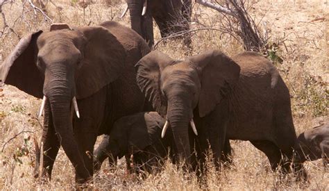 No-Trade No Killing 的图像结果