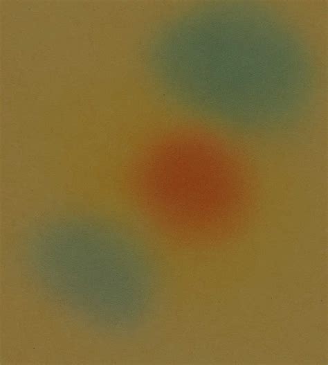 Image result for Flutter Using Warp